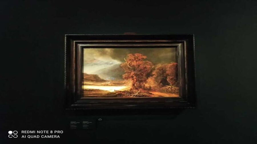 Museo Czartoryski: Visita in italiano e salta la fila - Key points to know before booking