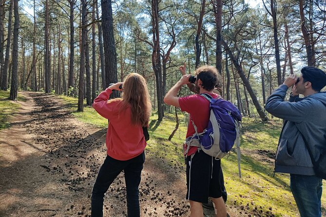 Nature Walk and Wildlife Tour in Sobieszewo Island - Key points to know before you book