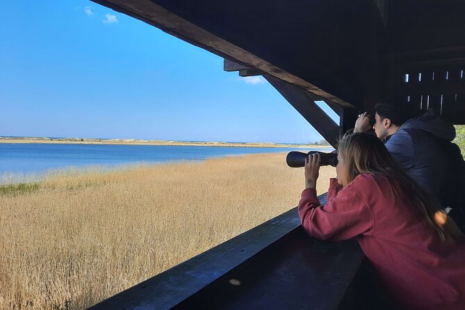 Nature Walk and Wildlife Tour in Sobieszewo Island - First hide at Jezioro Karaś