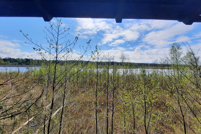 Nature Walk and Wildlife Tour in Sobieszewo Island - A sheltered pause at Znak Ptasi Raj