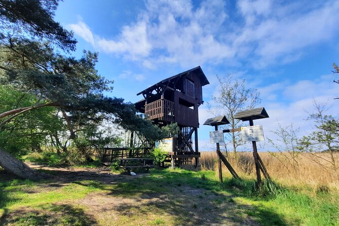 Nature Walk and Wildlife Tour in Sobieszewo Island - What the guide adds to the morning