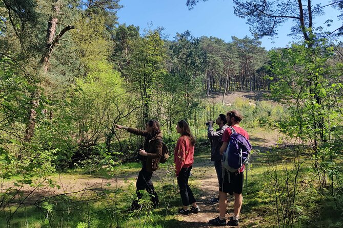 Nature Walk and Wildlife Tour in Sobieszewo Island - The two-story view over Ptasi Raj