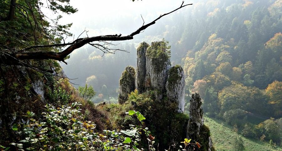 Ojcow National Park: Full-Day Trip from Krakow - Who will enjoy this day most