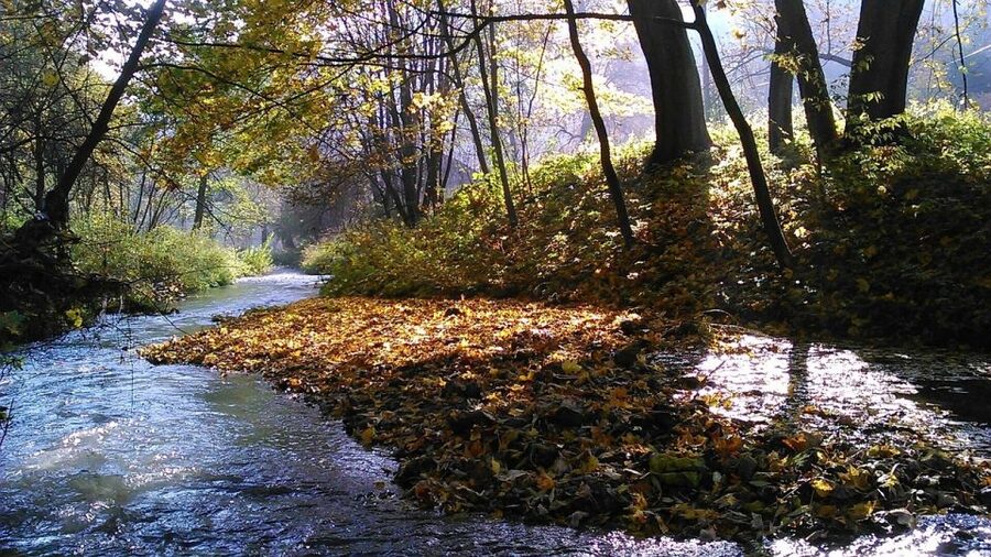Ojcow National Park: Full-Day Trip from Krakow - Ojcow’s ruins and the story of the park