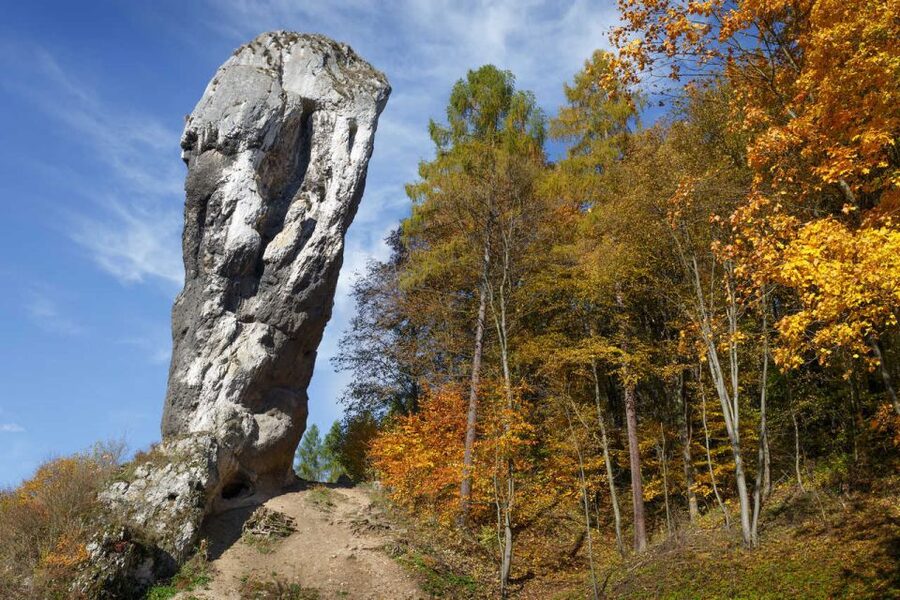 Ojcow National Park: Full-Day Trip from Krakow - Pieskowa Skala Castle and Polish Renaissance style