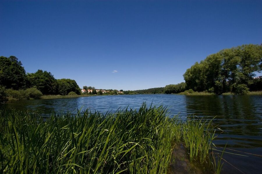 Olsztyn Old Town Highlights Private Walking Tour - Timing, accessibility, and planning tips