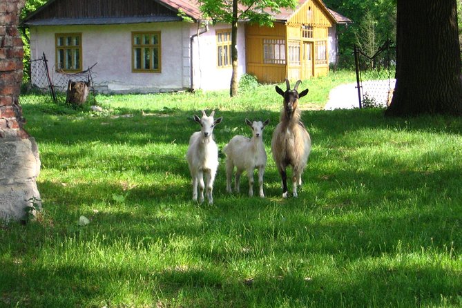 One day in the polish countryside- private tour from Krakow - Binarowa’s wooden church and a farm supper
