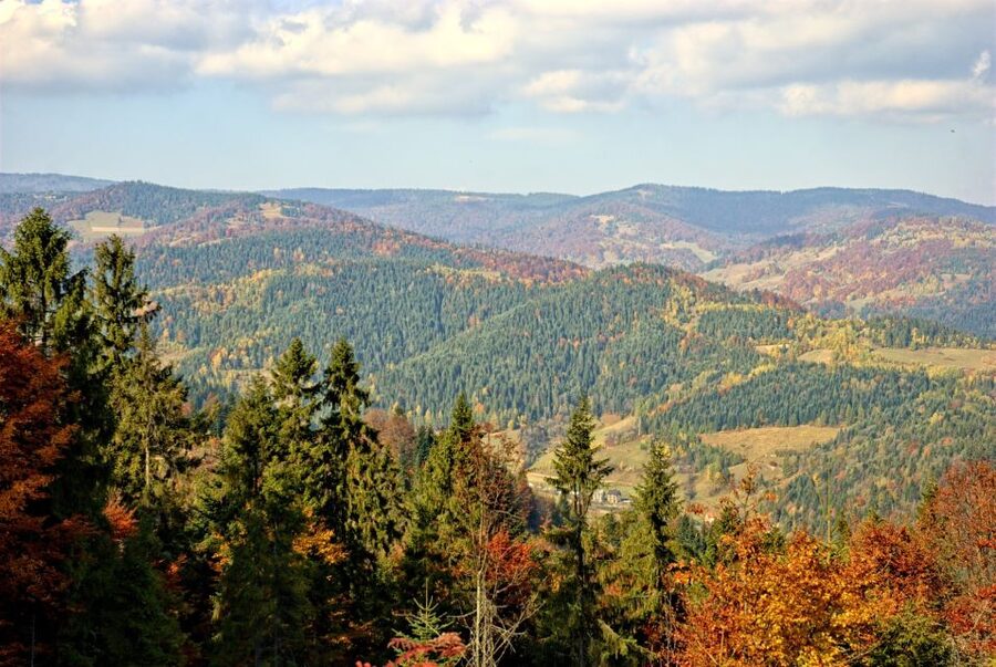 Pieniny Mountains: Hiking and Rafting Tour from Krakow - Climbing Trzy Korony for the Pieniny view