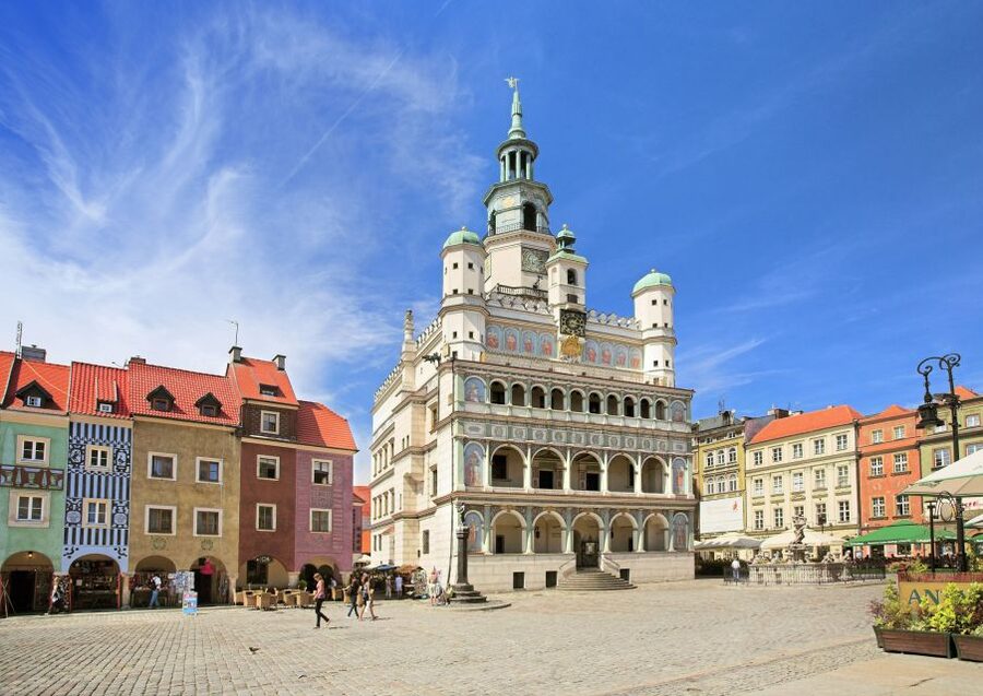 Poznan: Old Town, Srodka District, & Cathedral Private Tour - Mickiewicz Square and Poznan’s academic center