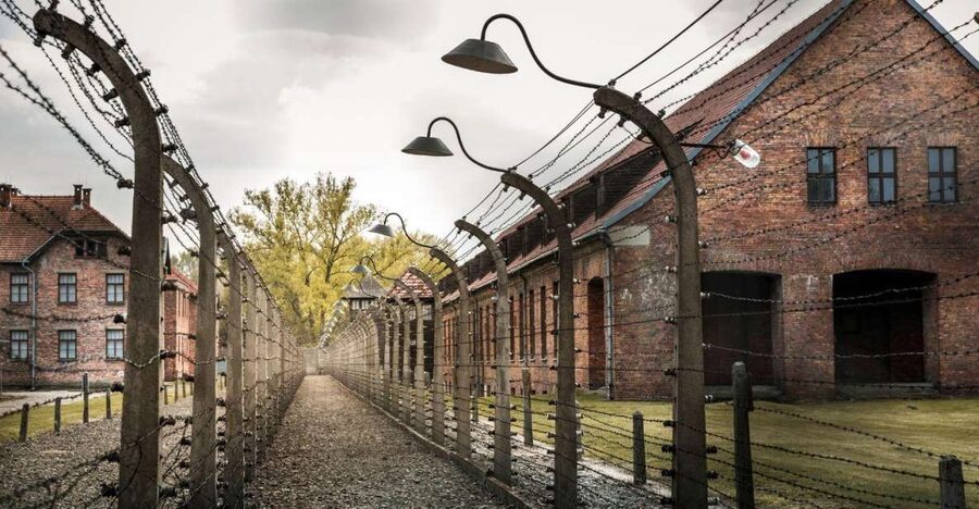 Prague: Tour to Auschwitz Birkenau - Is $601 Per Person Good Value?