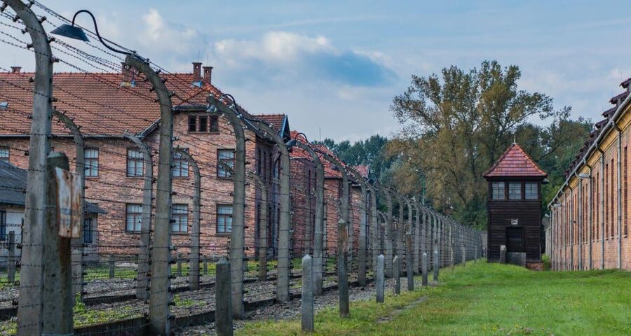 Prague: Tour to Auschwitz Birkenau - Who Should Choose This Tour?