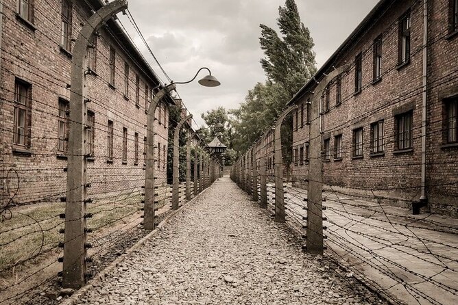 Private Guided Tour to Auschwitz & Birkenau from Krakow - Birkenau: the larger camp and the final hour and a half