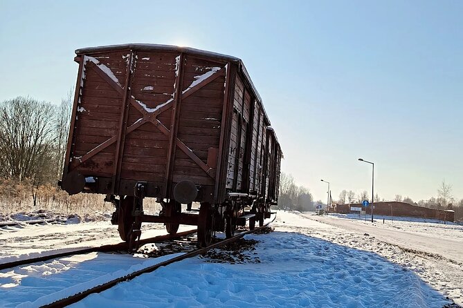 Private Guided Tour to Auschwitz & Birkenau from Krakow - Is $461.96 good value for up to three people?