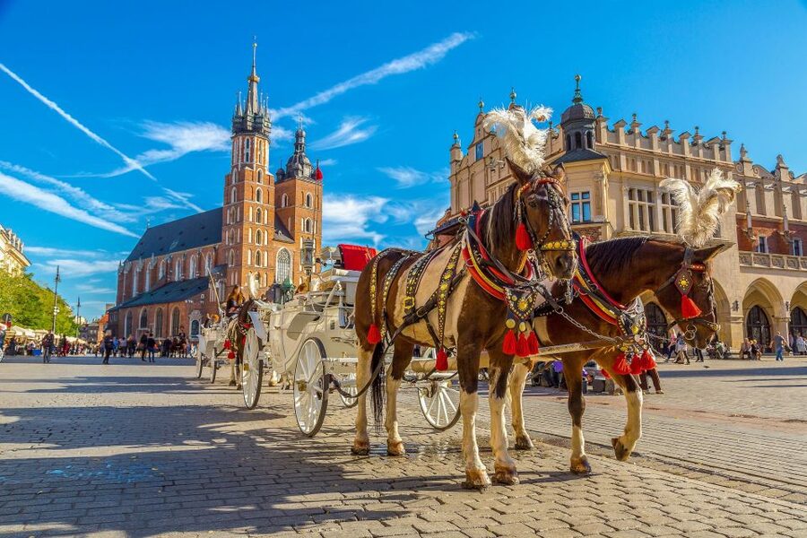 Private Krakow Tour: St. Mary’s, Cloth Hall & More - What the Private Format Adds