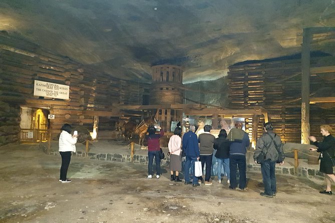 Salt Mine Tour and Krakow City Tour in one day - Collegium Maius and the Jagiellonian University