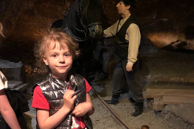 Salt Mine Wieliczka Guided Tour from Kraków with Hotel Pick up - What the guide and driver add