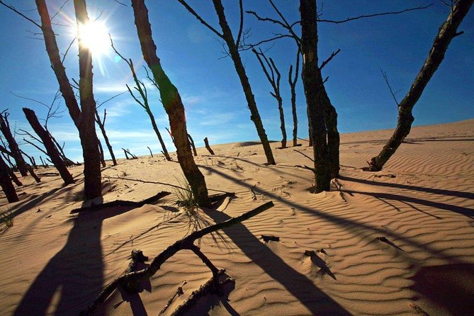 Slowinski National Park Private Tour - What the private format really adds