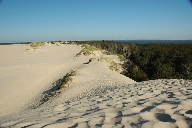 Slowinski National Park Private Tour - Is $250.04 per person good value?