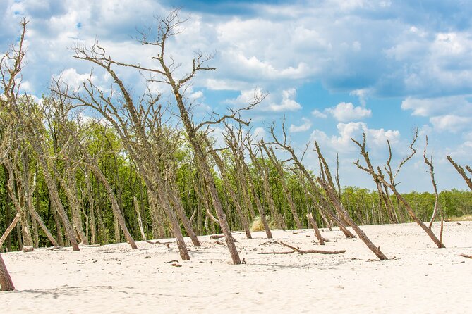 Slowinski National Park Private Tour - What to bring for a seven-hour nature outing
