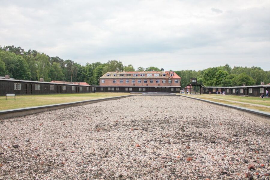 Stutthof Concentration Camp:Guided Tour with Transportation - The museum cinema and survivor documentary