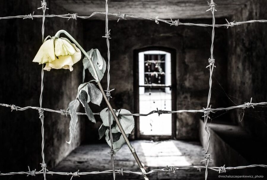 Stutthof Concentration Camp Half-Day Private Tour - The 30-minute break at Morska 32