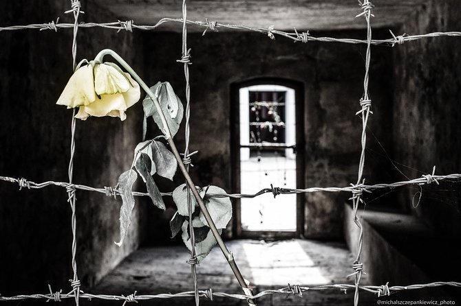 Stutthof Concentration Camp Private Tour from Gdansk - Walking through Stutthof’s old and new camp areas