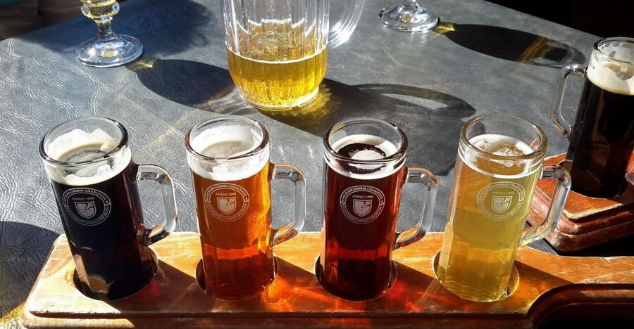 Szczecin Polish Beer and Food Tasting Private Tour - The three-hour option: eleven beers across three stops