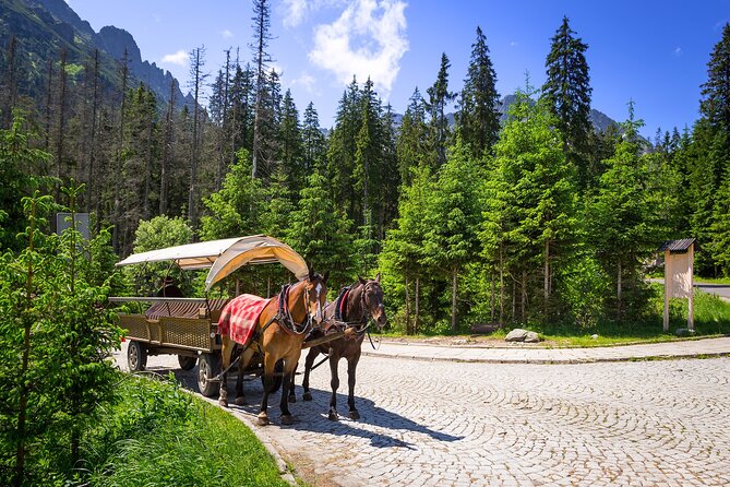 Tatra Mountains and Zakopane Full-Day Tour from Krakow - Pęksowy Brzyzek Cemetery