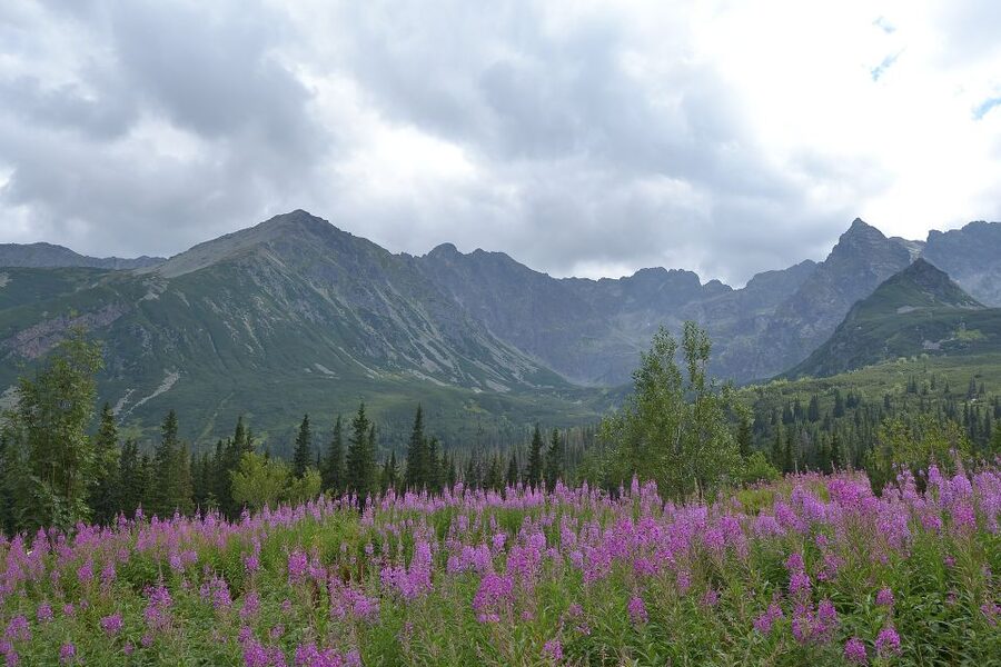 Tatras Mountains: Full-day Hiking Tour from Krakow - From Liliowe Pass to Hala Gąsienicowa