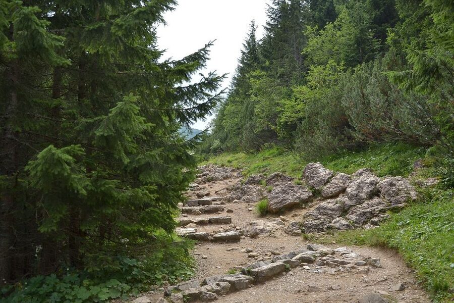 Tatras Mountains: Full-day Hiking Tour from Krakow - What the guide adds to the walk