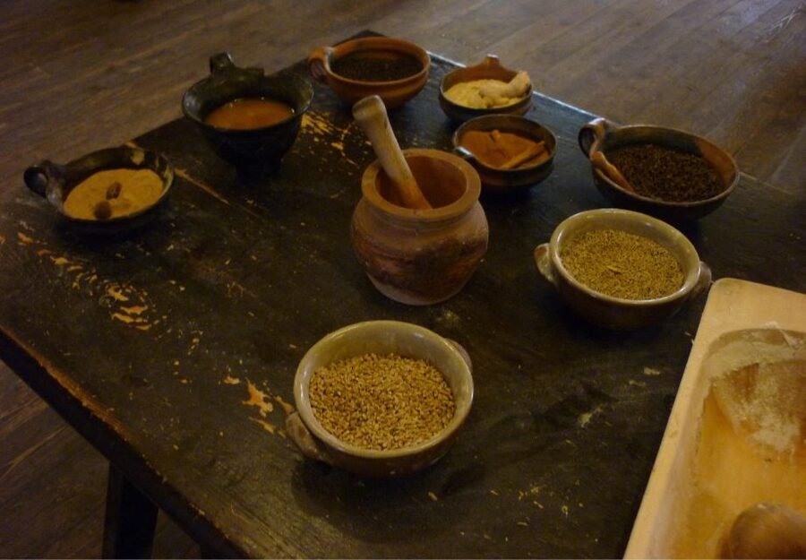 Torun Living Museum of Gingerbread and Old Town Private Walk - Who will enjoy this tour most?