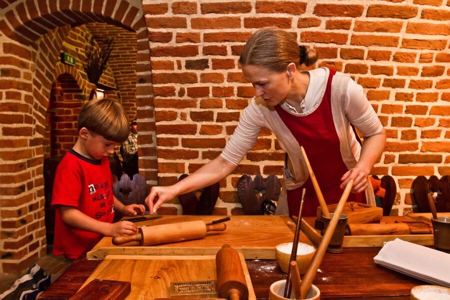 Torun: Private Walking Tour of a Medieval Town - Key points to know before booking
