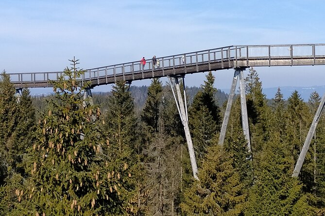 Tree Top Walk in Slovakia & Zakopane Private Tour From Krakow - Why the Bachledka walk is the heart of the day