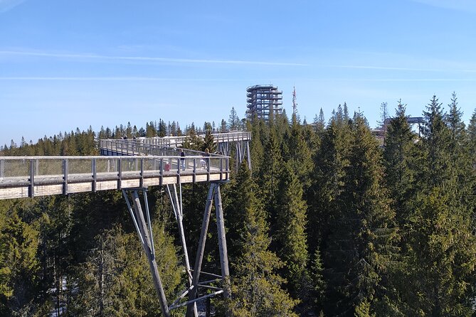 Tree Top Walk in Slovakia & Zakopane Private Tour From Krakow - Who will enjoy this private day trip?