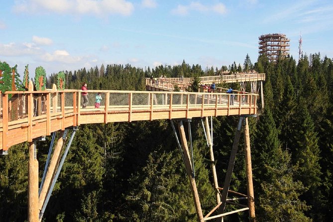 Treetop Walk in Slovakia and Thermal Baths from Krakow - Two countries, one long day from Krakow