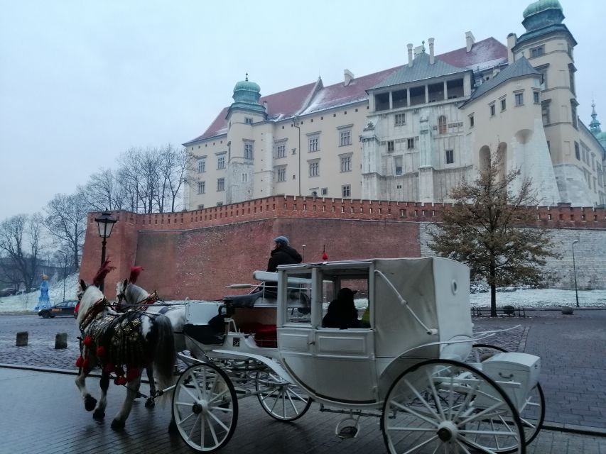 Warsaw: Tour to Krakow and Auschwitz by Train with Pickup - Key points to know before booking