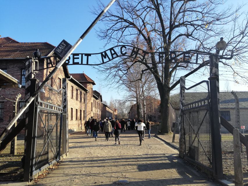 Warsaw: Tour to Krakow and Auschwitz by Train with Pickup - Who should book this experience?