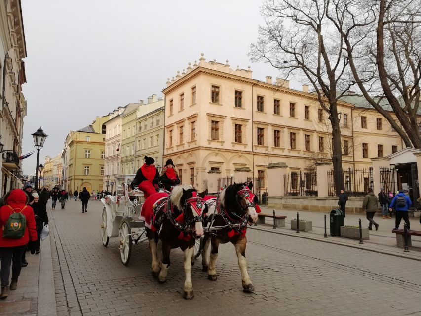 Warsaw: Tour to Krakow and Auschwitz by Train with Pickup - The return train and hotel drop-off
