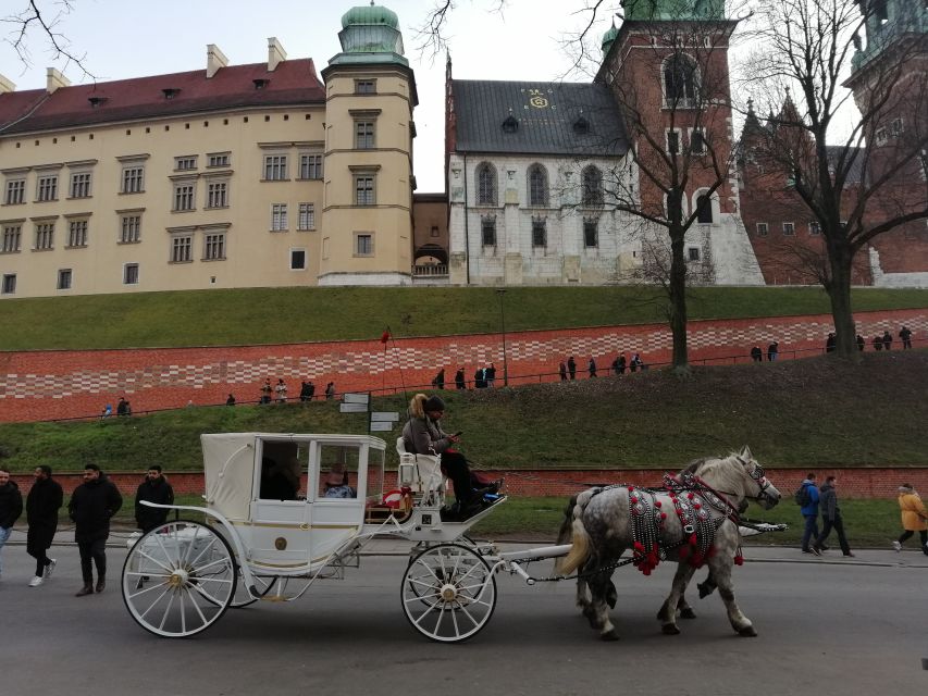 Warsaw: Tour to Krakow and Auschwitz by Train with Pickup - The train from Warsaw to Krakow