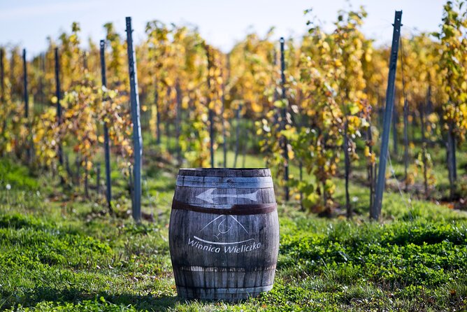Wieliczka Vineyard: Wine tasting with local snacks - Four wines with local seasonal snacks