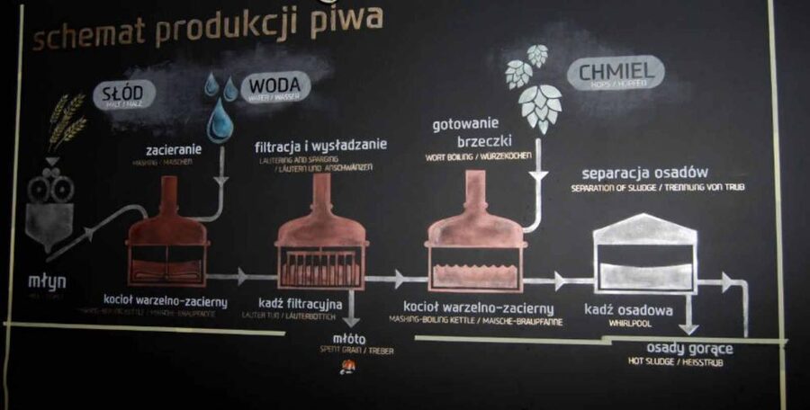 Wroclaw: Guided Tour & Beer Tasting (2 hours) - The University of Wrocław and a changing beer culture