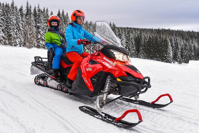 Zakopane: 3 hours Snowmobiles Guided Tour with bonfire and meal - Price and what the $295.01 cost means