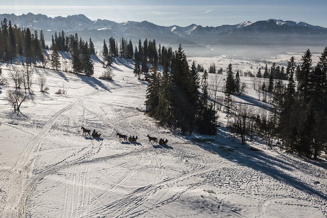 Zakopane and Horse Sleigh Ride in the countryside, private tour from Krakow - The sleigh ride through the snowy Tatra countryside