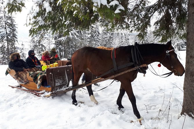 Zakopane and Horse Sleigh Ride in the countryside, private tour from Krakow - Krzeptówki and the Shrine of Our Lady of Fatima