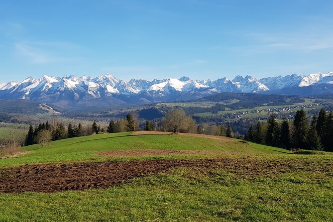 Zakopane and Tatra Mountains from Krakow, private tour - Krupowki Street, lunch, and Zakopane’s resort side