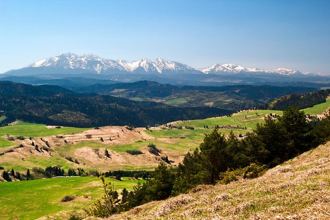 Zakopane and Tatras Mountains Day Tour from Krakow - Walking through Zakopane’s wooden style