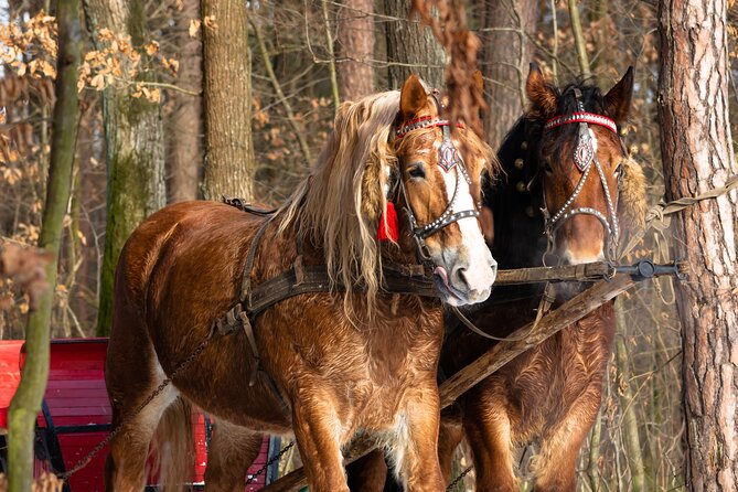 Zakopane Horse-Drawn Rides with Local Guide and Food Tasting - The Driver and Group Size Matter