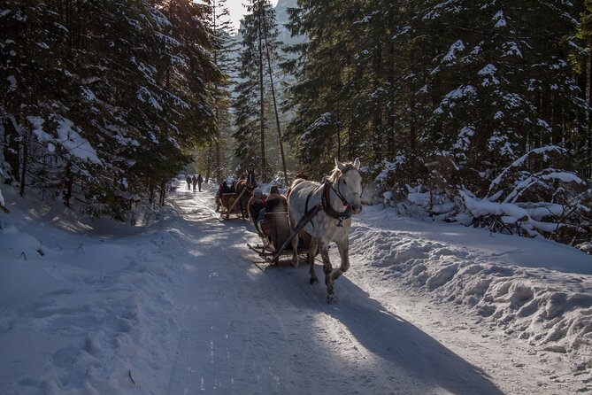 Zakopane Horse-Drawn Rides with Local Guide and Food Tasting - Timing, Pickup, and the Three-Hour Plan