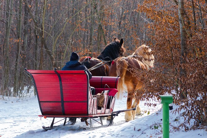 Zakopane Horse-Drawn Rides with Local Guide and Food Tasting - Is the Food Good Value?