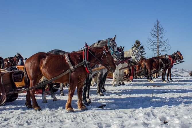Zakopane Horse-Drawn Rides with Local Guide and Food Tasting - Torches Add More Than Decoration
